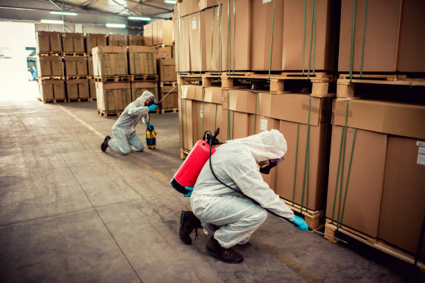 Best Mosquito Control Services  in Plymouth, WI