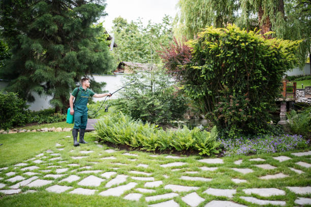 Best Ant Control Services  in Plymouth, WI